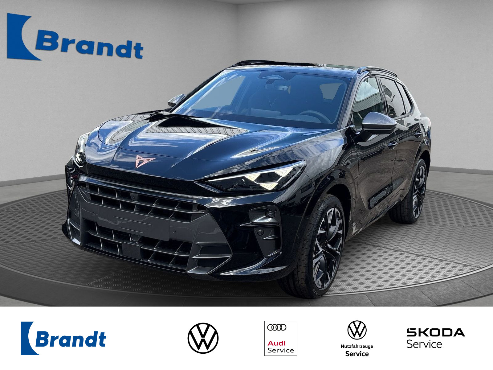 Terramar VZ 2.0 TSI 4x4 DSG+MATRIX+PANO+HUD+AHK