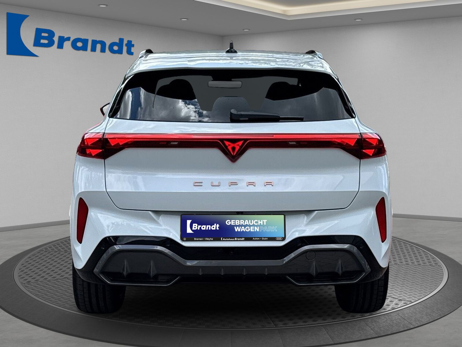 Cupra - Terramar_6