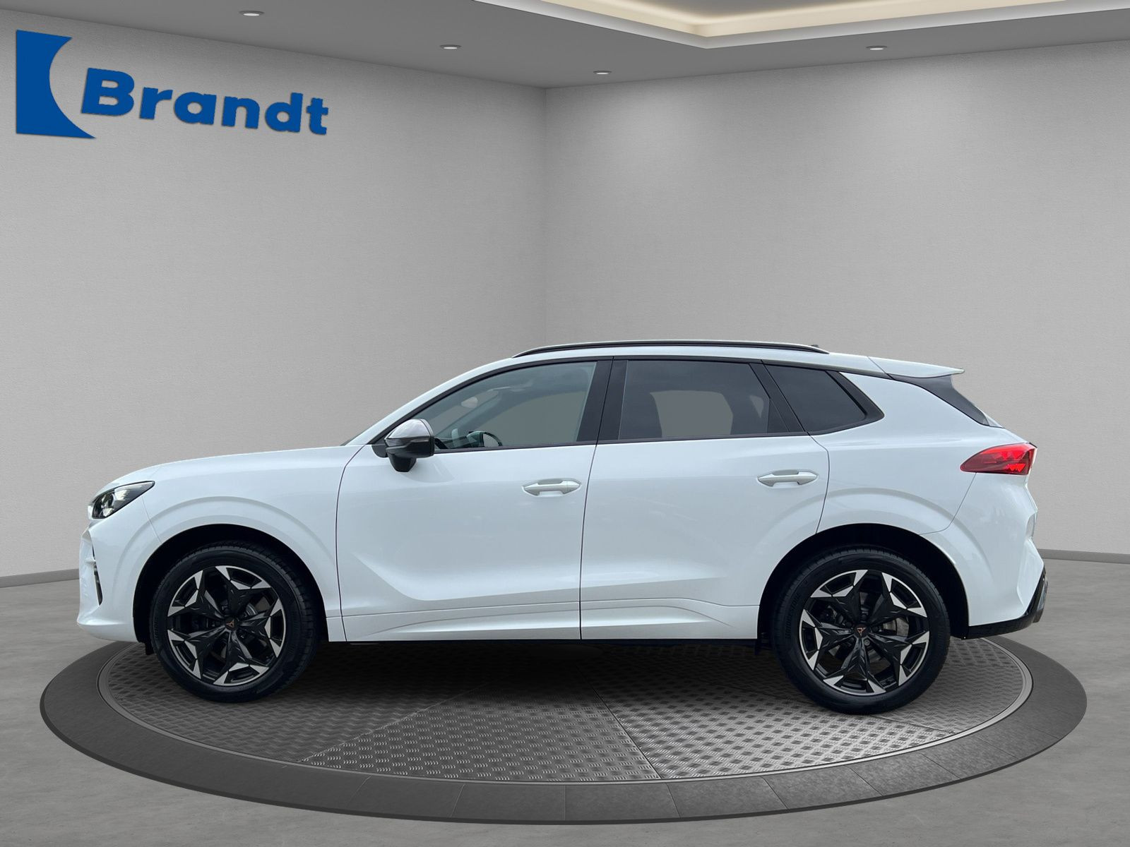 Cupra - Terramar_3