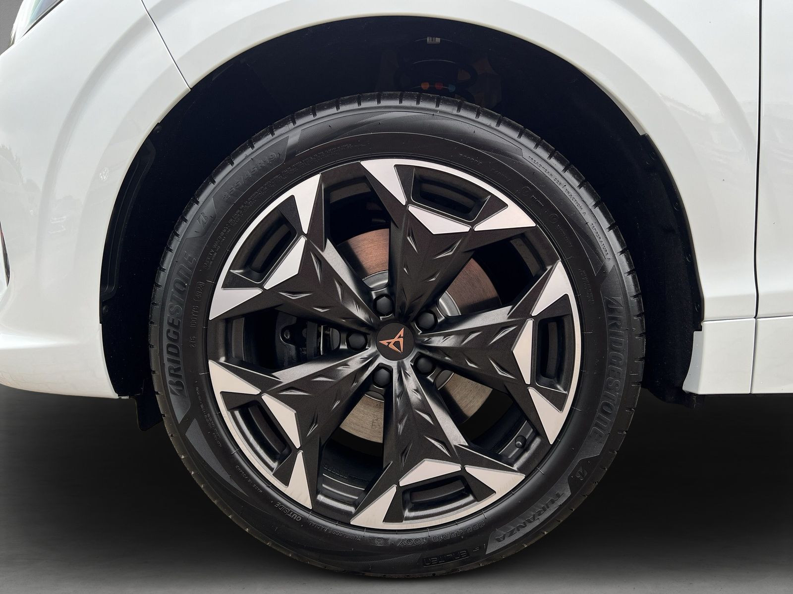 Cupra - Terramar_7