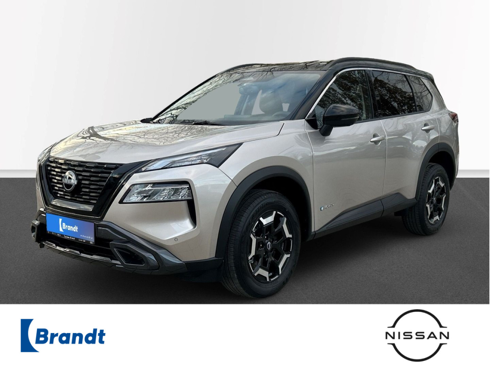X-Trail N-Trek e-Power AHK 360 Kamera LED Winter