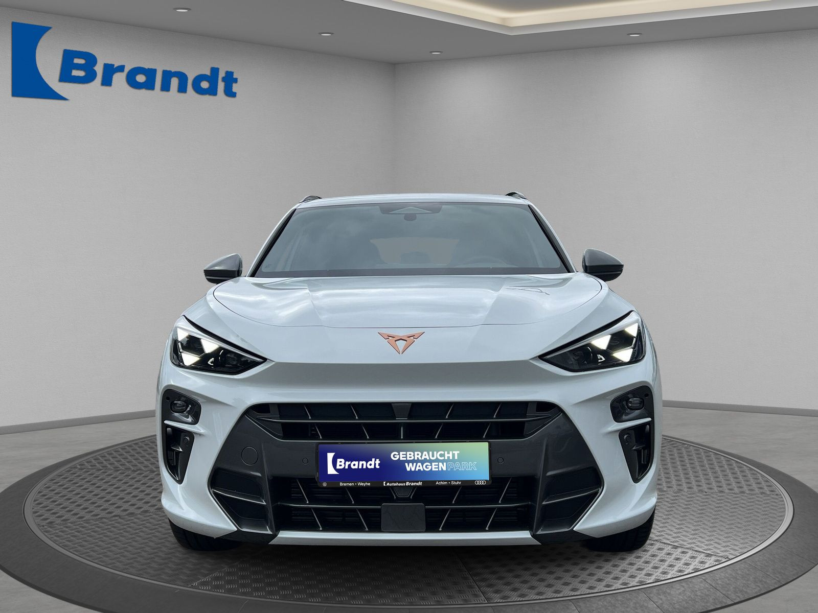 Cupra - Terramar_5