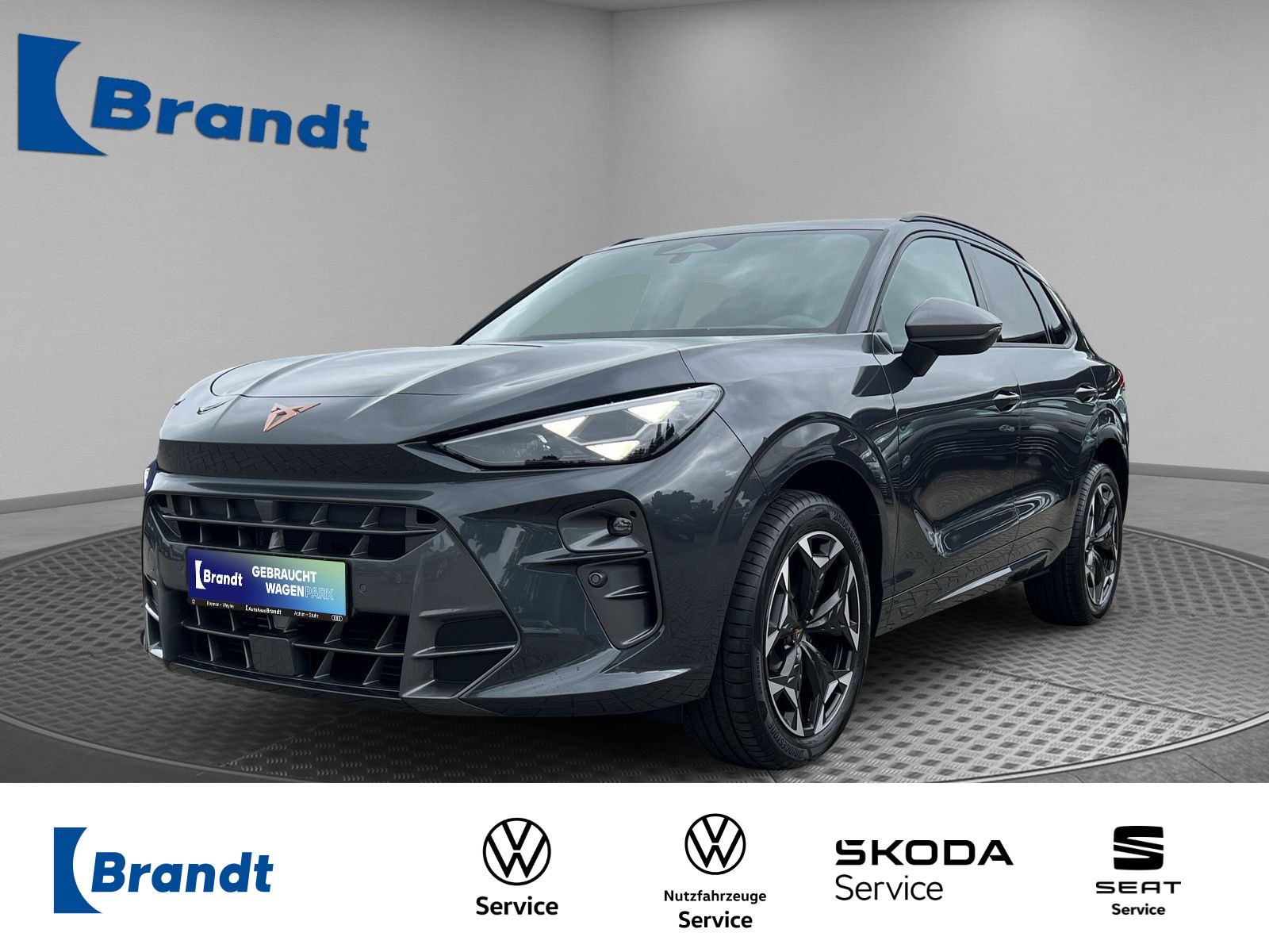 Terramar VZ 2.0 TSI 4Drive DSG+MATRIX+KAMERA+HUD