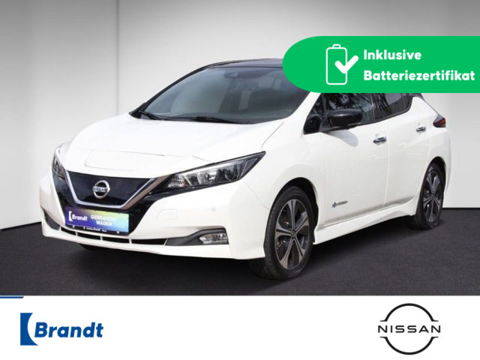Nissan - Leaf_1