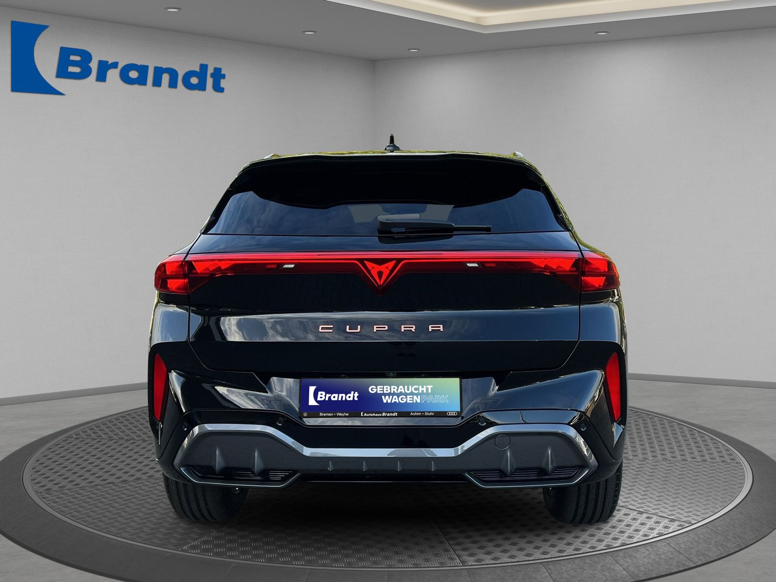 Cupra - Terramar_6