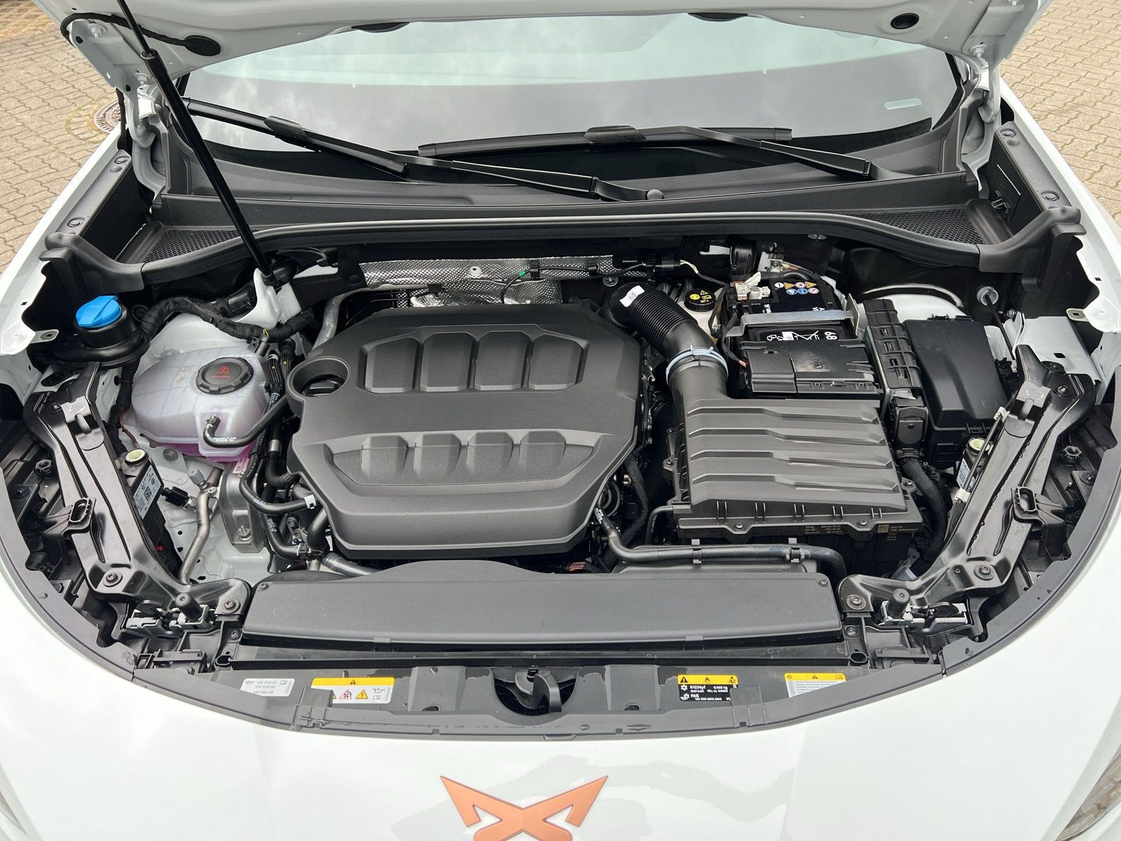 Cupra - Terramar_27