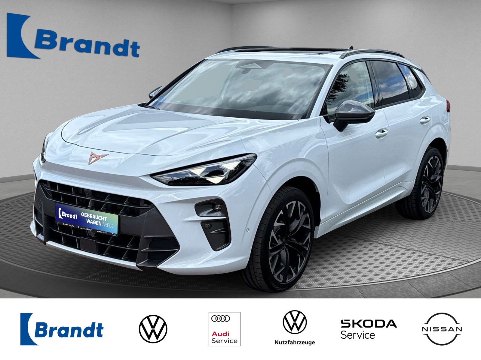 Terramar VZ 2.0 TSI 4x4 DSG+MATRIX+PANO+HUD+AHK