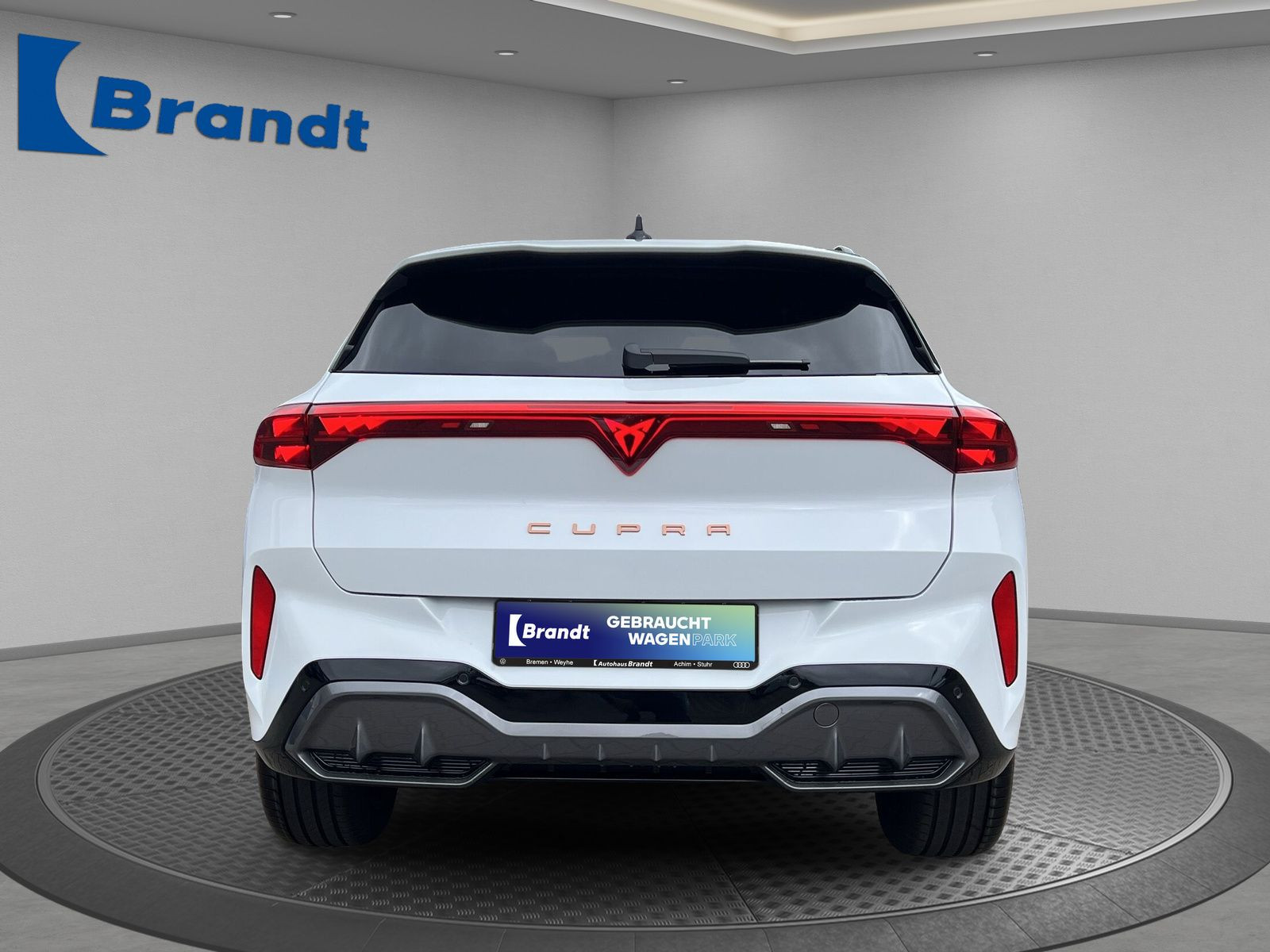 Cupra - Terramar_5